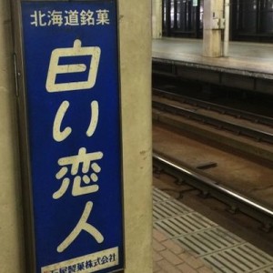 【ジワジワくる】赤の他人の対義語は？白い恋人です。（全１３個）