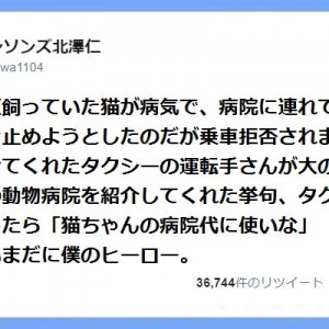 【助かりました！】ありがとう！「僕たち私たちのヒーロー」８選
