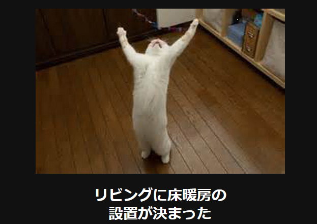 猫の画像で一言ボケて おもしろかわいいネコ 大喜利 １３連発