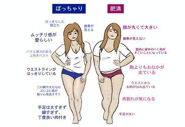 うっ ぽっちゃり と 肥満 の違いを表したイラストがわかりやすいと話題 Corobuzz