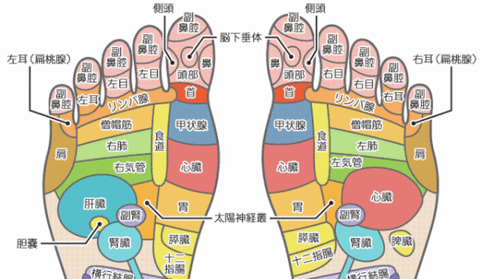 体の不調を教えてくれる 足裏のツボが 体のどこに対応しているのかわかる図 Corobuzz