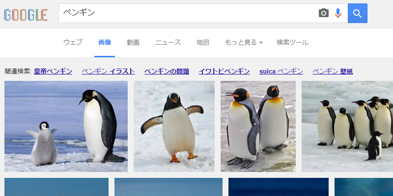 なぜキミがそこに 笑 ペンギン で画像検索をしたら１枚だけ違う子がいる 画像 Corobuzz