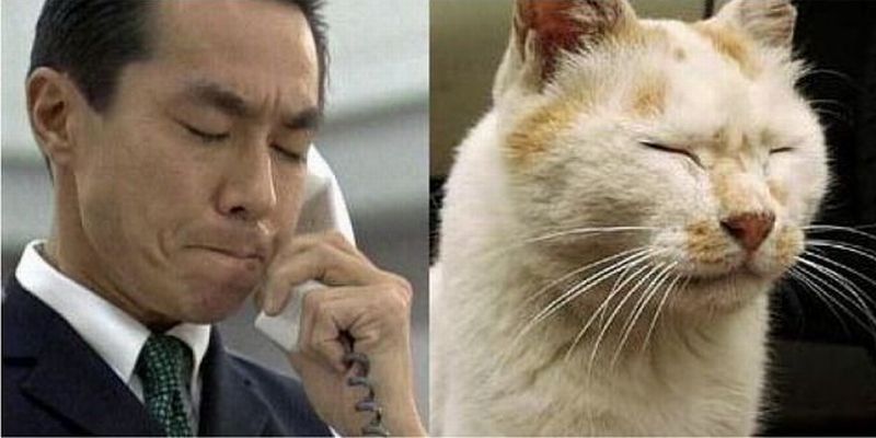 似ている 笑 動物の写真にそっくりだった有名人たち １１選 Corobuzz