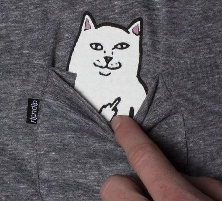 めちゃシュールｗ 猫がポケットに隠れたデザインのシャツ ポケット部分をめくると 笑 Corobuzz