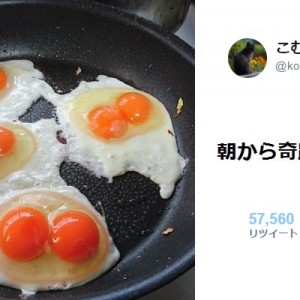 狙って撮れるもんじゃない！それは突然訪れた「奇跡の瞬間」８選