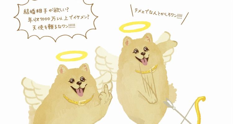 このウザ可愛さ たまらない 笑 キュートな顔して本性むき出しな ポメラニアン 11枚 Corobuzz