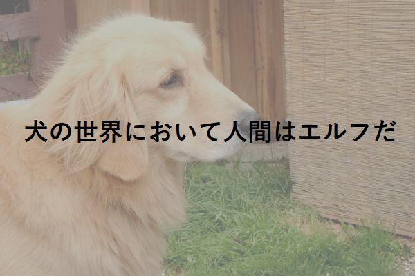 犬にとって人間はエルフだ 英語から日本語に訳した文章 読んだら涙がこぼれて来た Corobuzz
