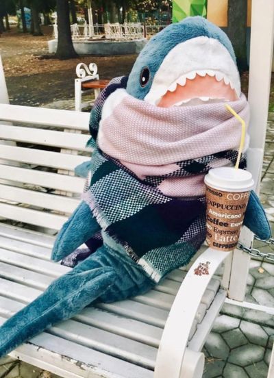 サメ ikea ikeaのサメの人形が話題！大きさや値段は？洗濯できるって本当？