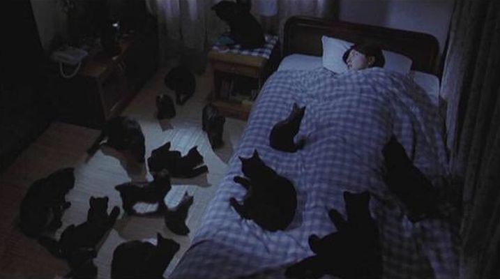 呪怨 の部屋に黒猫が大量にいる霊現象 このシーンに対するみんなの共感を得たツッコミ 笑 Corobuzz