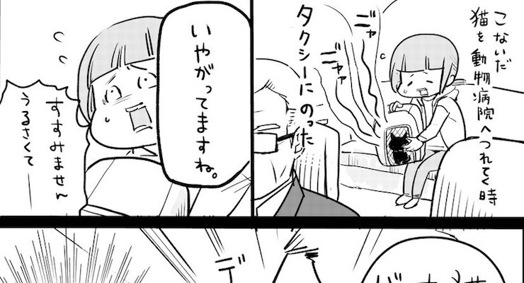 もう次の猫飼わないんですか 動物病院へ行く日にタクシーに乗った 運転手さんとの会話に Corobuzz