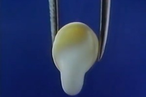 【画像で分かれる】30代以下と40代以上のジェネレーションギャップ…！（笑）