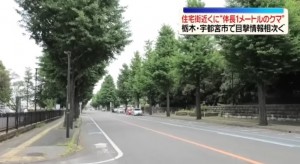 人と熊を対立させて一番得をするのが誰なのか、考えてみたら分かる