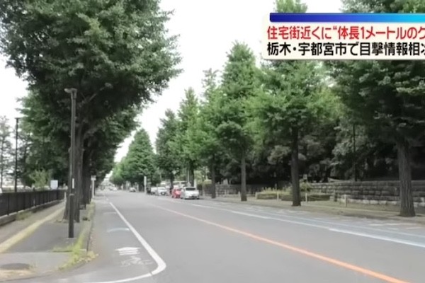 9721