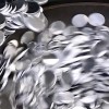 zu