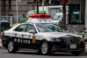 パトカーで見たことない姿→機会の多さ、人によって分かれるっぽい