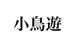 「小鳥遊」と書いて読ませ方が改めてすごい→応用できそう…！（笑）