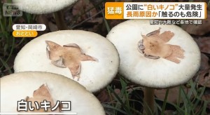 公園に猛毒の「白いキノコ」が大量発生→100点のツッコミ（笑）