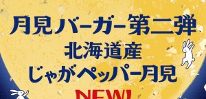 【遊び心が粋】マクドナルドの月見に隠されているメッセージ性