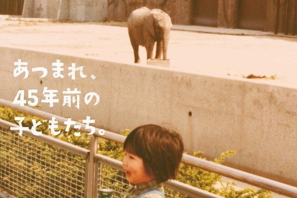 tobuzoo_info_x