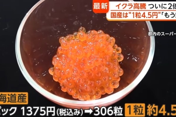 2424