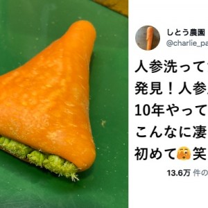 何かが宿った？笑いの宝くじだったら一等級の野菜が獲れた８選