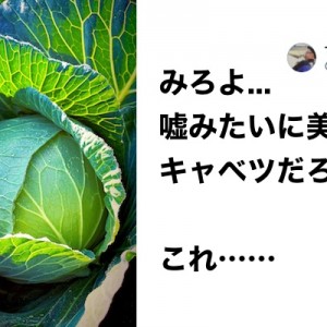 タッチやないんやから！（笑）「嘘みたいだろ？これ、、、なんだぜ？」11選