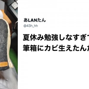 【力比べを始めよう】生えれるものなら「カビとの試合」８選