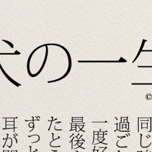 犬の一生！ペットは愛を教えてくれる…！最後の一文まで読んだら泣いた