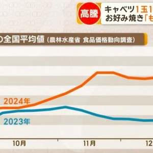 食卓の味方、キャベツ高騰→早速、大喜利が始まってた８選