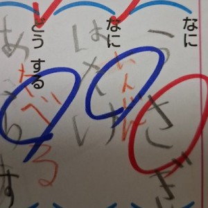 【持てる力を出し切る】お手並みを拝見！「記述問題」８選