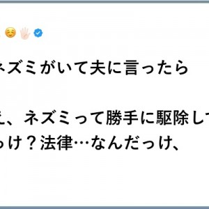 【世話が焼けるぜ】とらえてしまったからには駆除判断８選