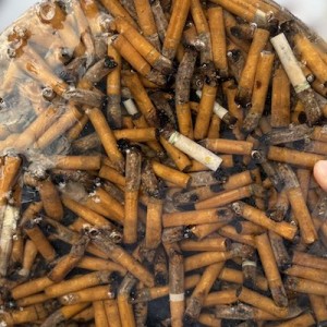 擦られない！（笑）ザ・マミィ酒井さんのXが見るのやめられない12選