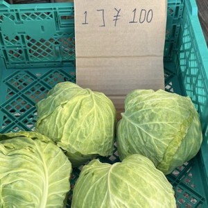 10秒くらい理解できなかった！（笑）キャベツ、いいえ・・・