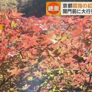 京都の観光で「オンシーズン」と「オフシーズン」、昔と今の的確な違い
