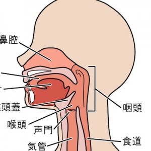 むせた時に人が発してしまう一言、気管の立場を考えたことあるんですか（笑）