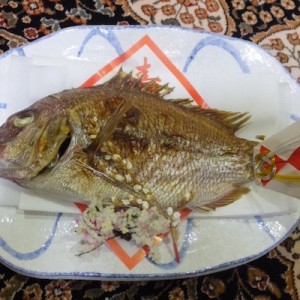 【衝撃】一つ知恵が増える、おかしら付きの鯛の「なんですって！」