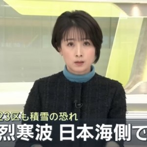 先日降った関東地方の雪を見て「人工雪だ！」・「陰謀だ！」と騒いでいる人に雪国民が一言で黙らせる