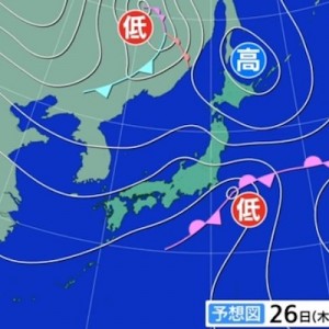 花粉って字面で許されている節がある、改名するならば…！（笑）