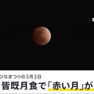 ニュースを見ていたら皆既月食を観測した子の感想がワロタ