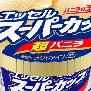 違和感なさすぎて！（笑）スーパーカップ「チョコミント」の商品名2度見した