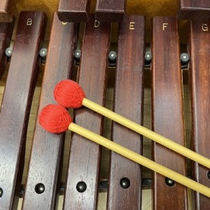 楽器がお金のかからない趣味だと分類されていますが、まずですね…！（笑）