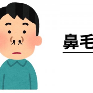 もし鼻毛が空気をフィルターするためだとしたら、お尻の毛は何のためにあるんだ？？有識者返す（笑）
