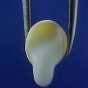 【画像で分かれる】30代以下と40代以上のジェネレーションギャップ…！（笑）