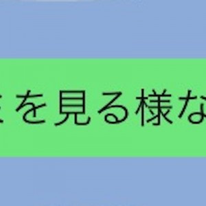 「ゴミを見る様な目」を使ったことがある表現だと思いますが