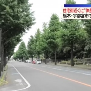 人と熊を対立させて一番得をするのが誰なのか、考えてみたら分かる