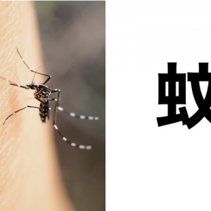 蚊が血を吸うのは百歩譲っていいけど、許し難い「わきまえろ」