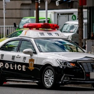 パトカーで見たことない姿→機会の多さ、人によって分かれるっぽい
