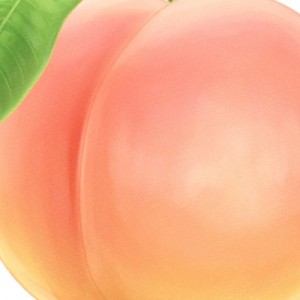 【強すぎ】その布陣で桃太郎が無事なのが怖い『最恐の桃太郎』