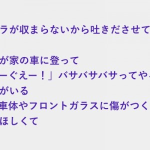 毎朝我が家の車に登って「ぐえーぐえー！」バサバサバサってやるキジの野郎がいる。許せん！と思って角材買ってきた