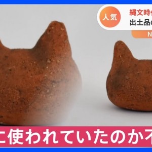 縄文時代の出土品「何に使われていたのか不明」のニュースに匹敵する（笑）